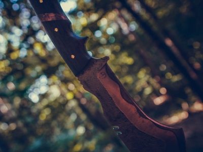spring assisted knife