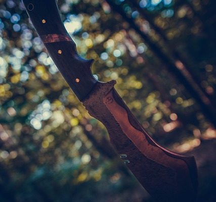 spring assisted knife